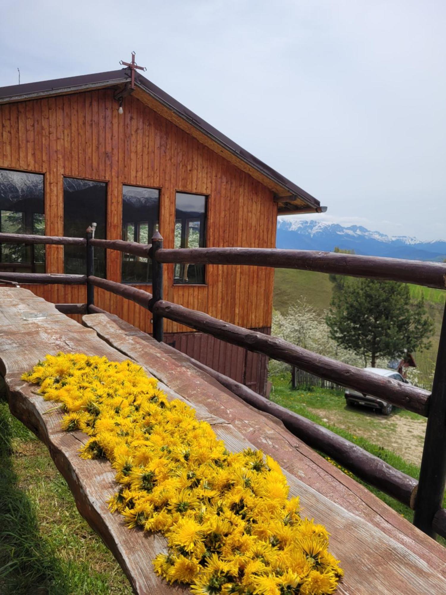 Cabana Colnic Măgura Exterior foto